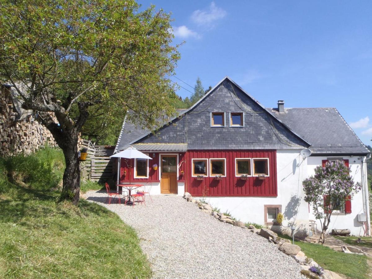 La Petite Finlande Villa Orbey Ngoại thất bức ảnh
